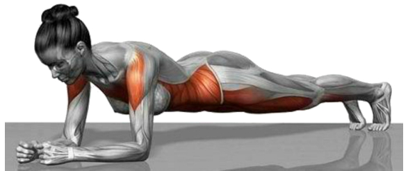 похудение похудение